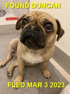 HAPPY ENDINGS - DUNCAN BC / MAR. 3, 2023