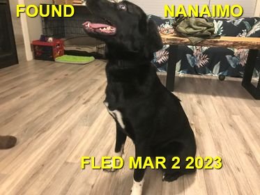 HAPPY ENDINGS - NANAIMO BC. / MAR. 2, 2023