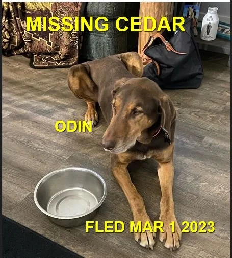 HAPPY ENDINGS - CEDAR BC. / ODIN / MAR. 1, 2023
