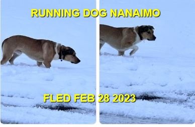 UNRESOLVED - NANAIMO BC. / FEB. 28, 2023