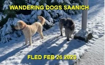 UNRESOLVED - SAANICH BC. / FEB. 26, 2023