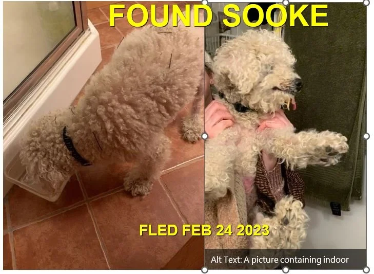 HAPPY ENDINGS - SOOKE BC. / FEB. 24, 2023