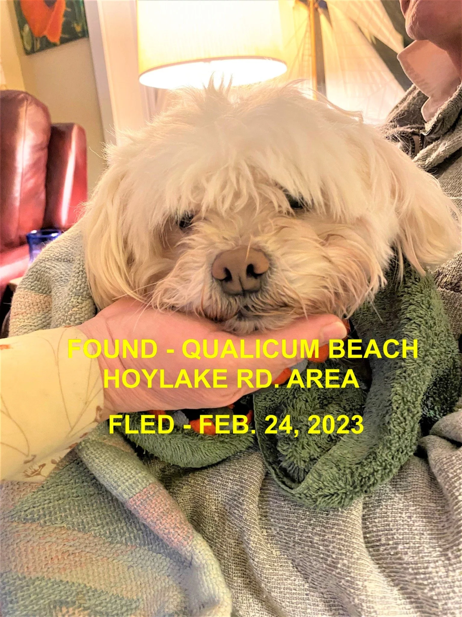 HAPPY ENDINGS - QUALICUM BEACH BC. / STUDDY / FEB. 24, 2023