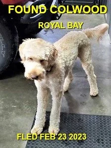 HAPPY ENDINGS - COLWOOD BC. / FEB. 23, 2023