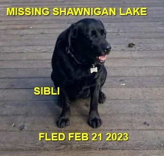 UNRESOLVED - SHAWNIGAN LAKE BC. / SHIBLI / FEB 21, 2023