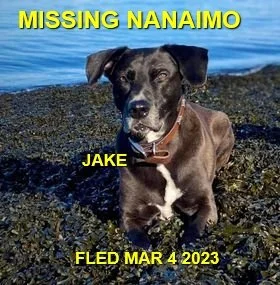 HAPPY ENDINGS - NANAIMO BC. / JAKE / MAR. 3, 2023