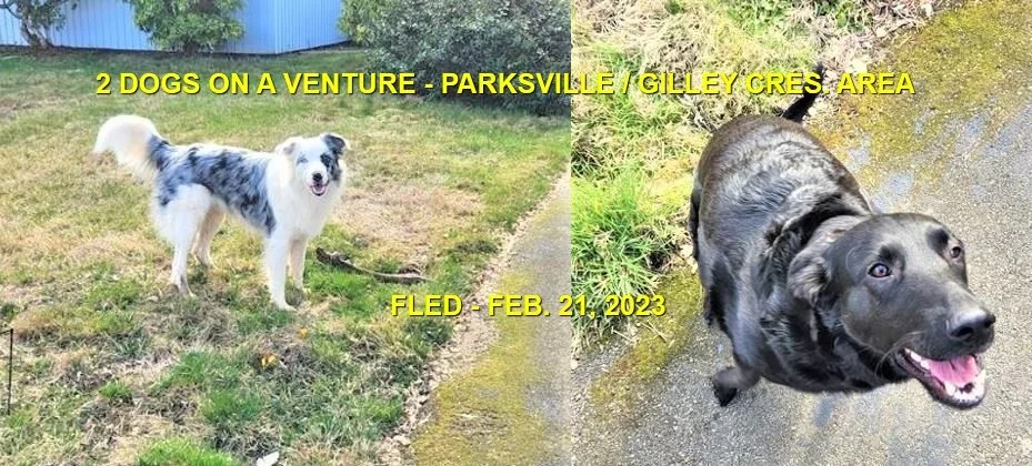 UNRESOLVED - PARKSVILLE BC. / FEB. 21, 2023