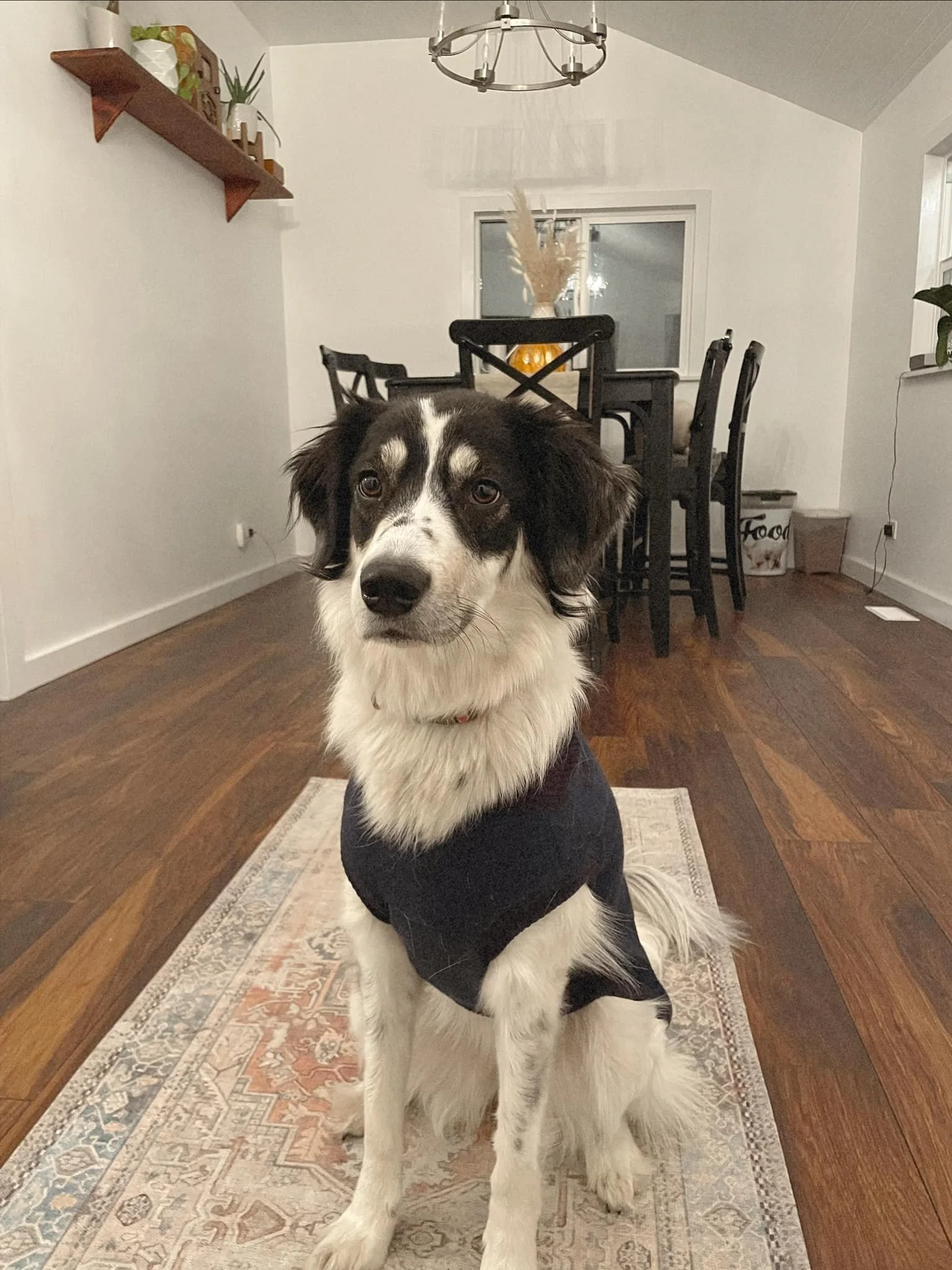 HAPPY ENDINGS - NANAIMO BC. / CHAI / FEB. 20, 2023