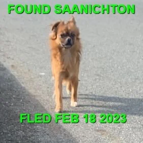 UNRESOLVED - SAANICHTON BC. / FEB. 18, 2023