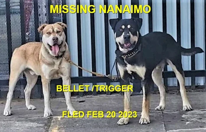 HAPPY ENDINGS - NANAIMO BC. / BELLET &amp; TRIGGER / FEB. 20, 2023