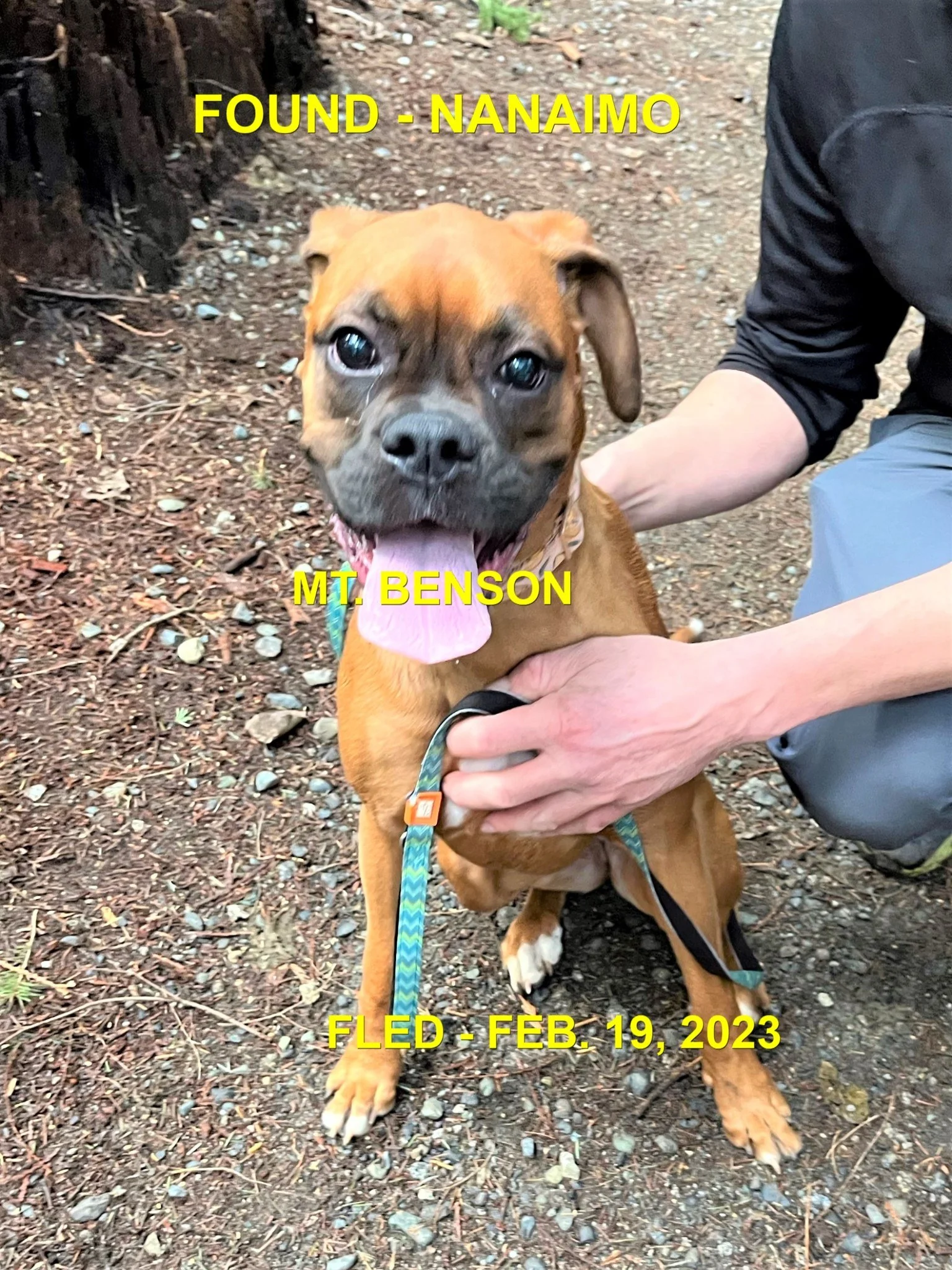 HAPPY ENDINGS - NANAIMO BC. / BUBBLES / FEB 19, 2023