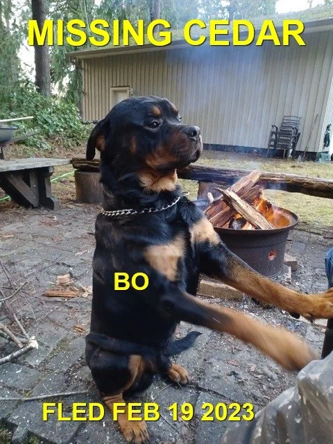 HAPPY ENDINGS - CEDAR BC. / BO / FEB. 19, 2023