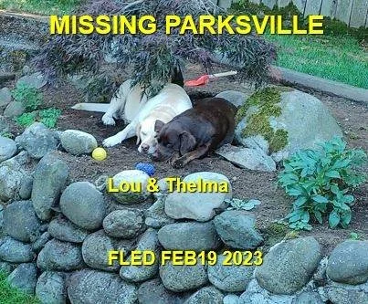 HAPPY ENDINGS - PARKSVILLE BC. / LOU &amp; THELMA / FEB. 18, 2023