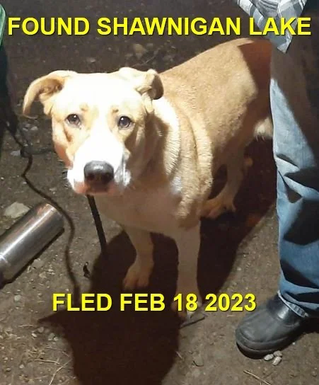 HAPPY ENDINGS - SHAWNIGAN LAKE BC. / FEB. 18, 2023