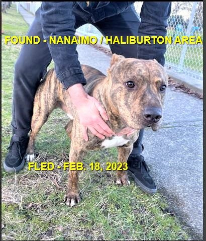 HAPPY ENDINGS - NANAIMO BC. / FEB. 18, 2023