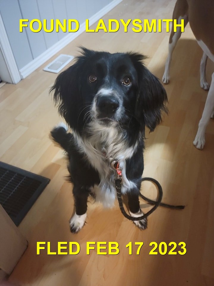 HAPPY ENDINGS - LADYSMITH BC. / FEB 17, 2023