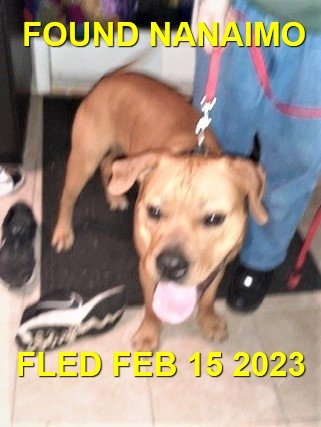 HAPPY ENDINGS - NANAIMO BC. / FEB. 15, 2023