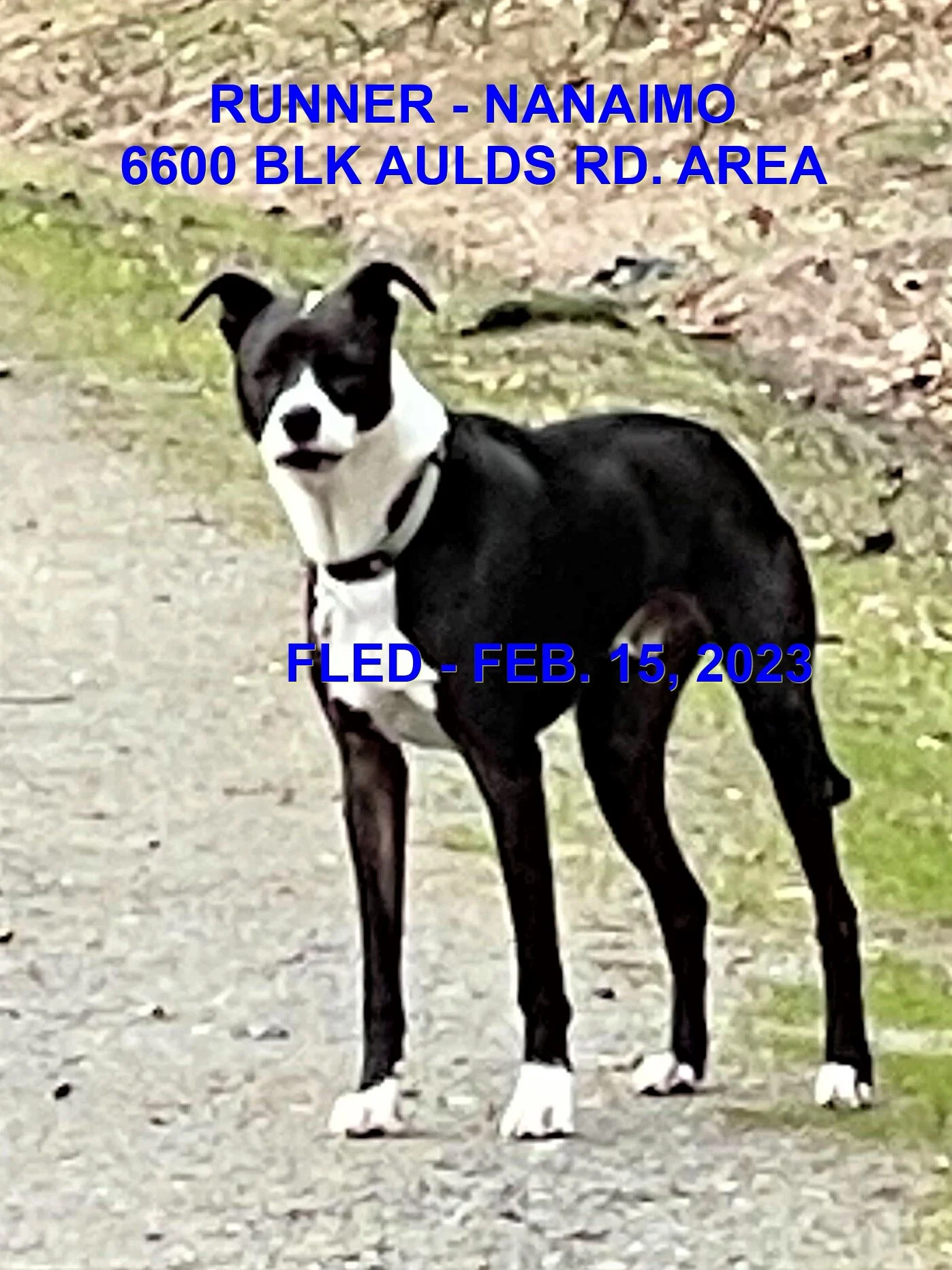 UNRESOLVED - NANAIMO BC. / FEB. 15, 2023