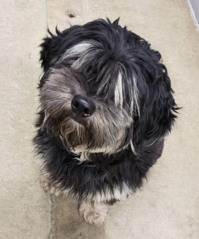 HAPPY ENDINGS - DUNCAN BC. / CHUBBY / FEB. 14, 2023