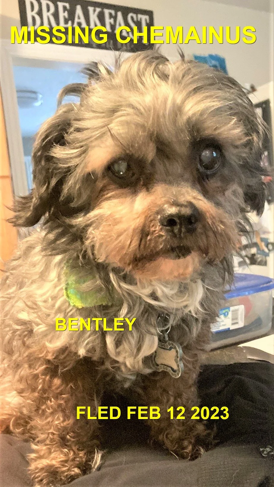 UNRESOLVED SENIOR - CHEMAINUS BC. / BENTLEY / FEB. 12, 2023