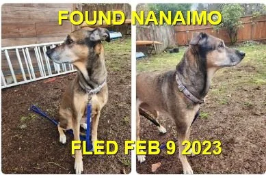 UNRESOLVED - NANAIMO BC. / FEB. 9, 2023