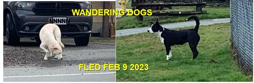 UNRESOLVED - CROFTON BC. / FEB. 9, 2023
