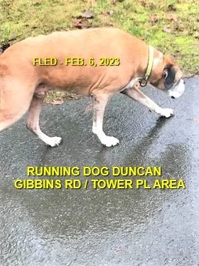 UNRESOLVED - DUNCAN BC. / FEB. 6, 2023