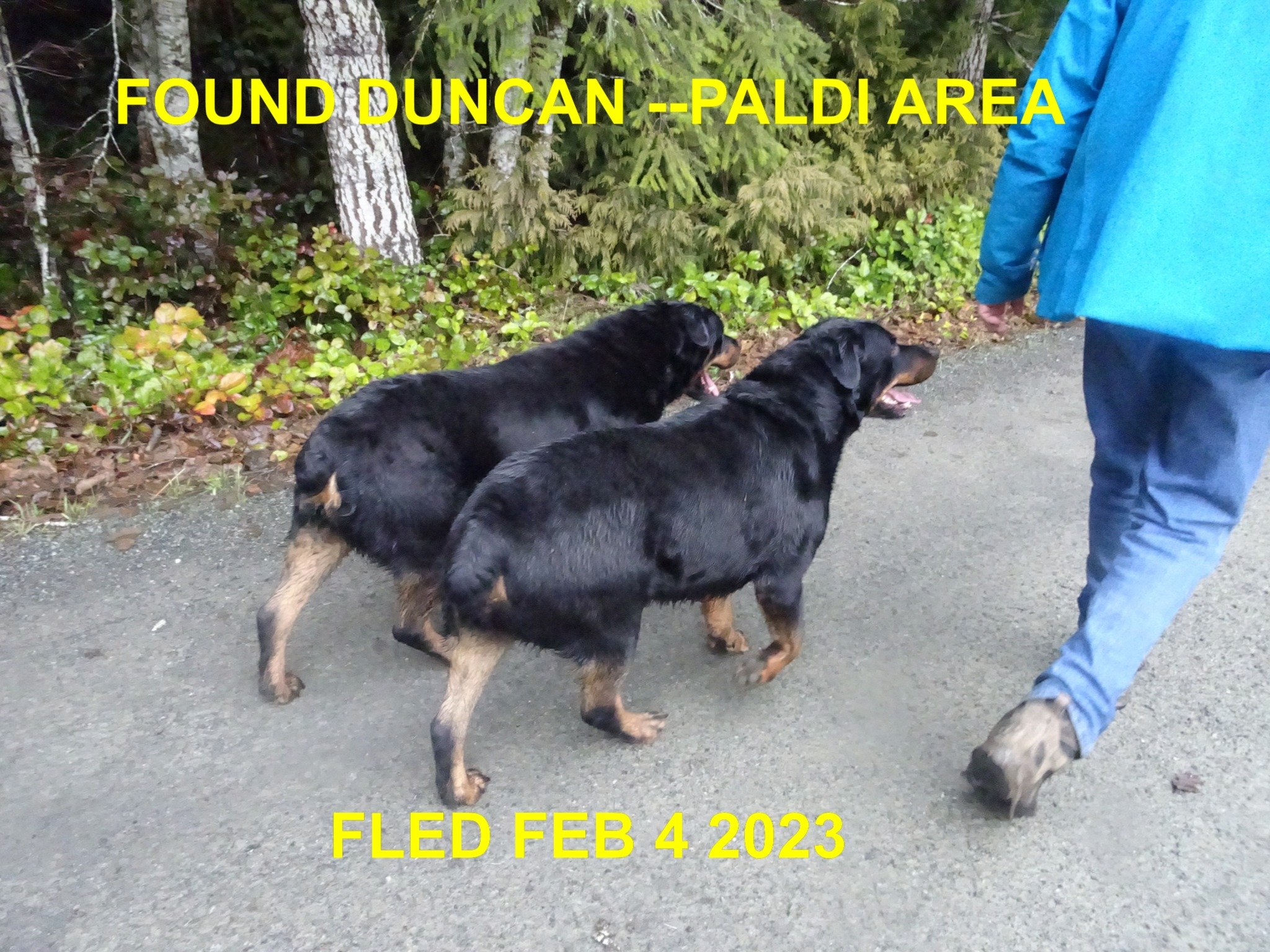 HAPPY ENDINGS - DUNCAN BC. / FEB. 4, 2023