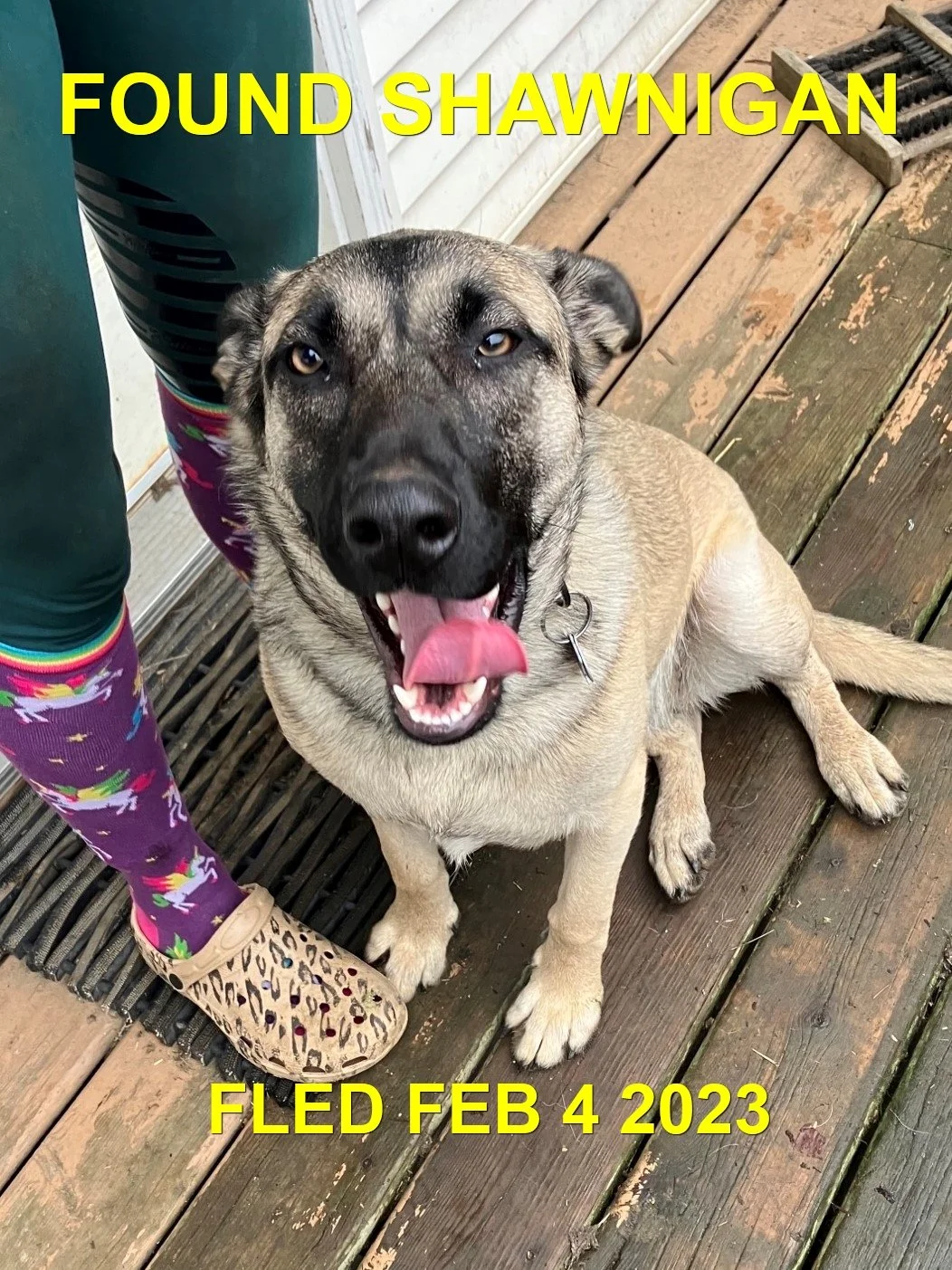 HAPPY ENDINGS - SHAWNIGAN LAKE BC. / STELLA / FEB. 4, 2023