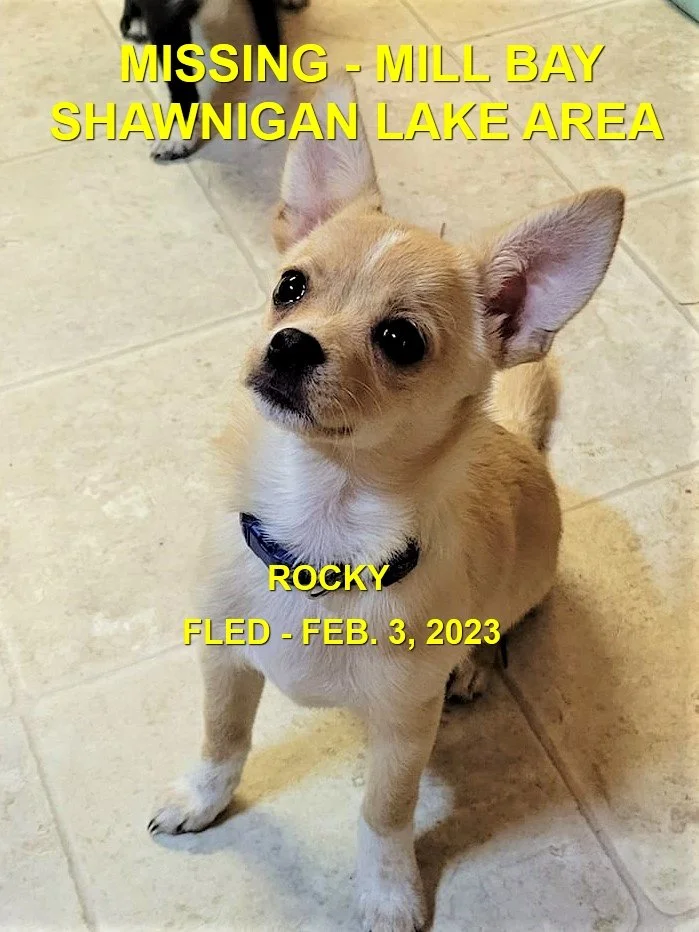HAPPY ENDINGS - SHAWNIGAN LAKE BC. / ROCKY / FEB. 2, 2023