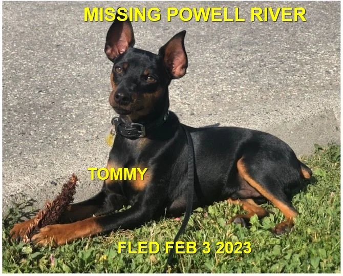 HAPPY ENDINGS - POWELL RIVER BC. / TOMMY / JAN 29, 2023