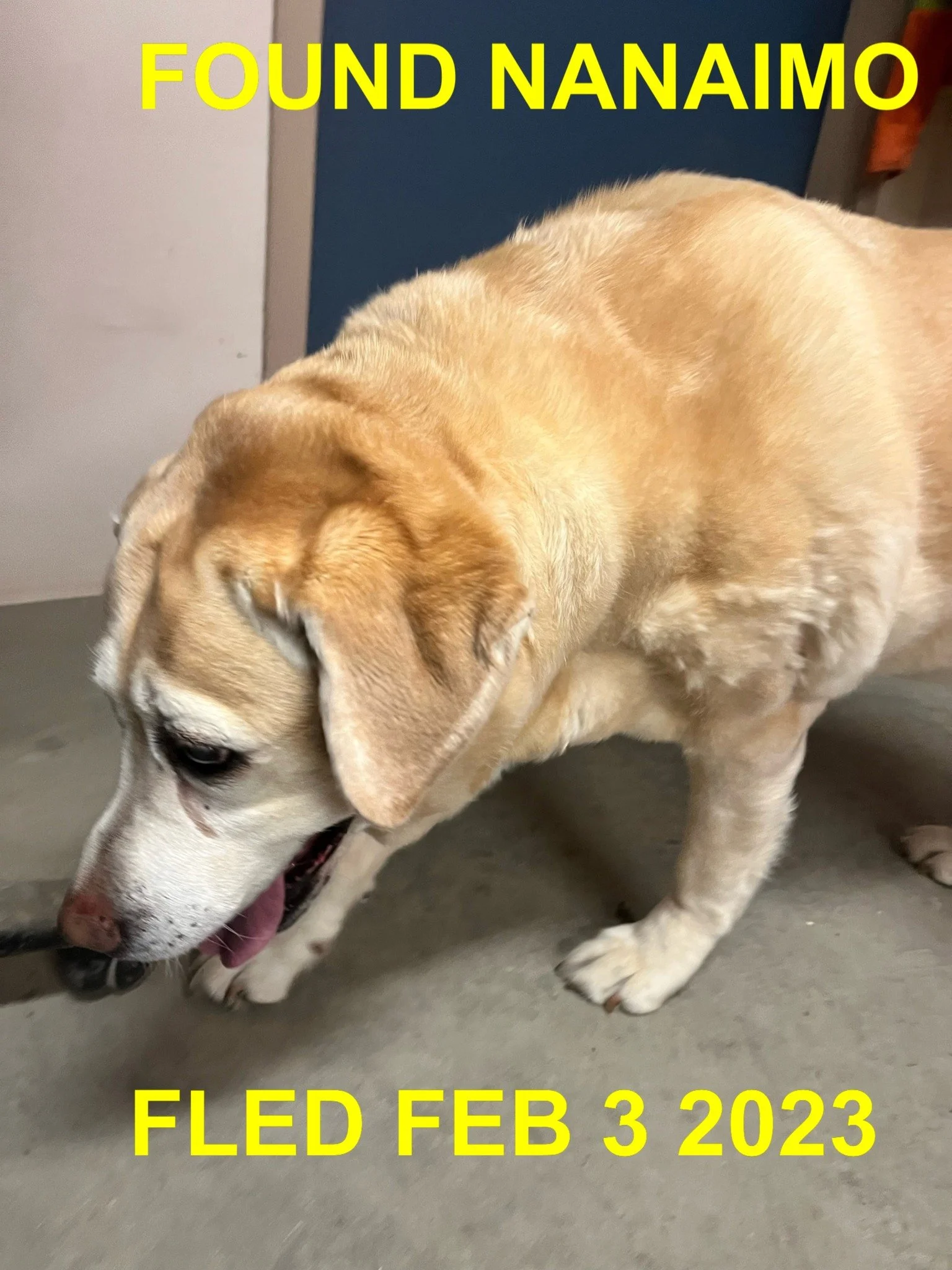 HAPPY ENDINGS - NANOOSE BAY BC. / FEB. 3, 2023