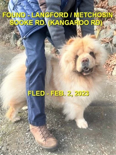 HAPPY ENDINGS - LANGFORD BC. / FEB. 2, 2023