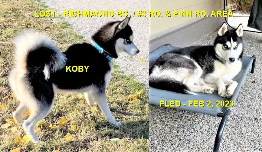 HAPPY ENDINGS - VANCOUVER BC. / KOBY / JAN. 13, 2023