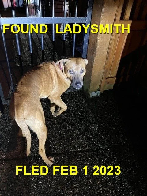 HAPPY ENDINGS - LADYSMITH BC. / FEB. 1, 2023