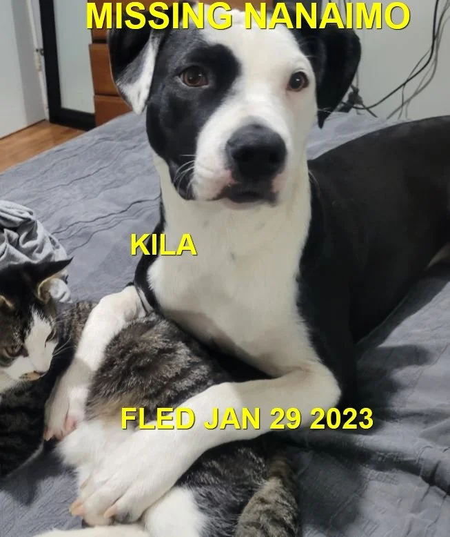 HAPPY ENDINGS - NANAIMO BC. / KILA / JAN 29, 2023