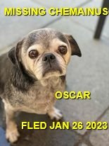 UNRESOLVED - SENIOR - CHEMAINUS BC. / OSCAR / JAN 24, 2023