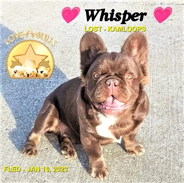 HAPPY ENDINGS -COURTESY  KAMLOOPS BC. / WHISPER / JAN 12, 2023