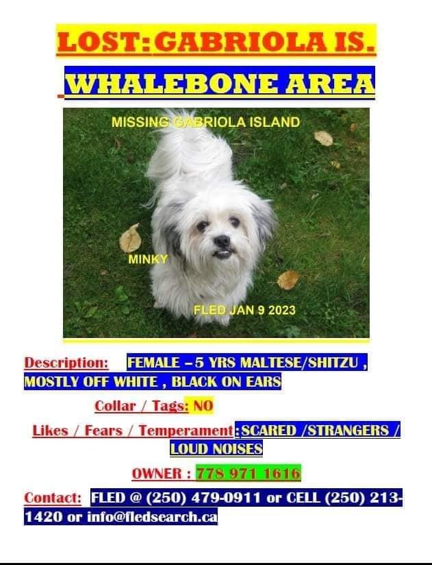 HAPPY ENDINGS - COURTESY - GABRIOLA ISLAND BC. / MINKY / JAN 12, 2023