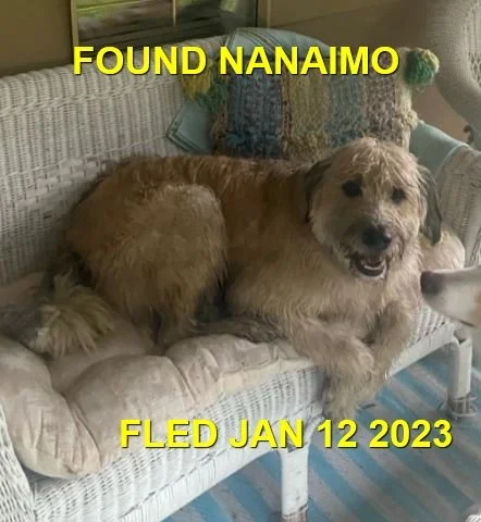 HAPPY ENDINGS - NANAIMO BC. / JAN. 12, 2023