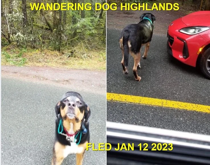 HAPPY ENDINGS - HIGHLANDS BC. / JAN 12, 2023