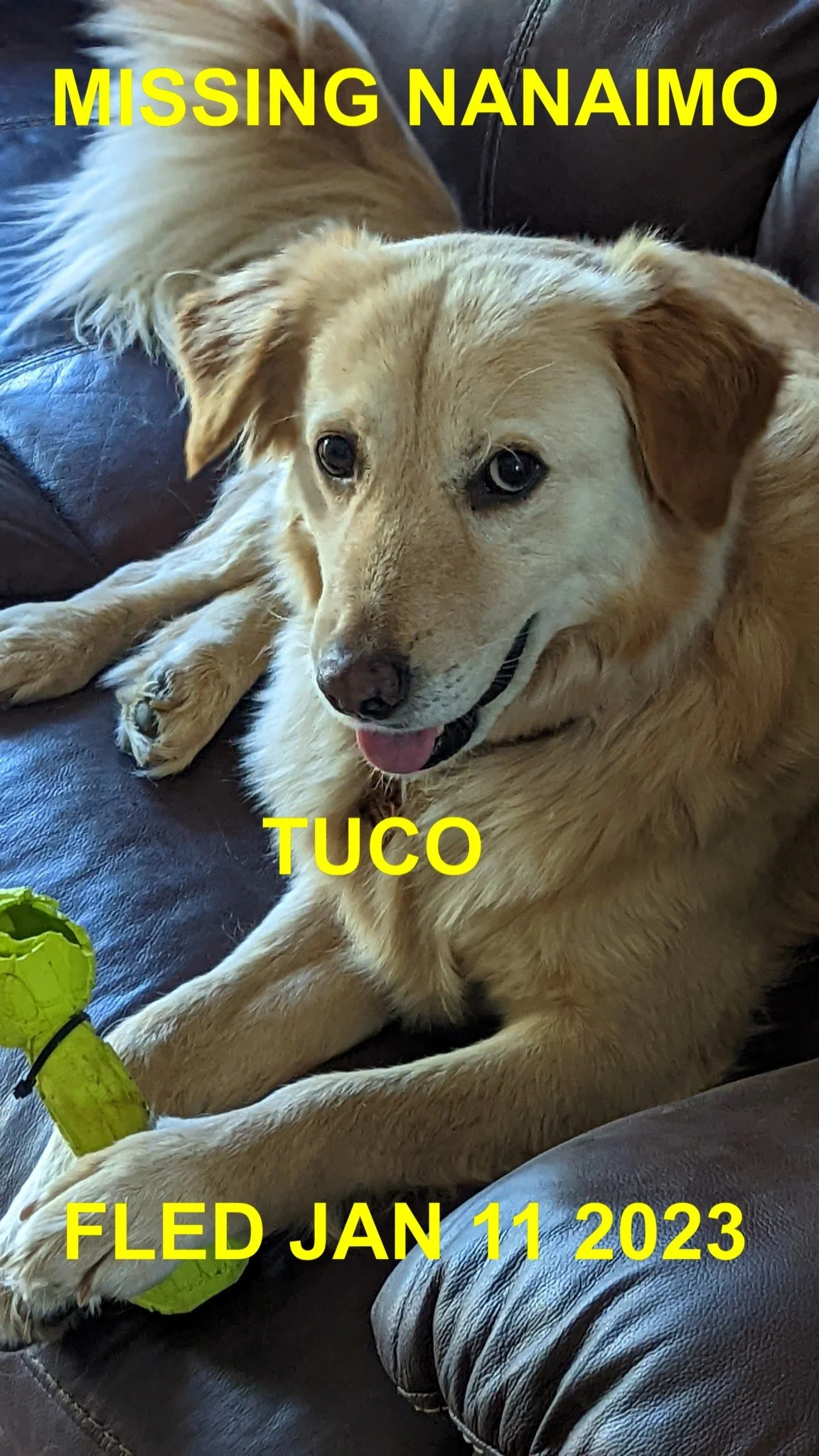 HAPPY ENDINGS - NANAIMO BC. / TUCO / JAN 10, 2023