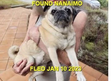 HAPPY ENDINGS - NANAIMO BC. / JAN 10, 2023