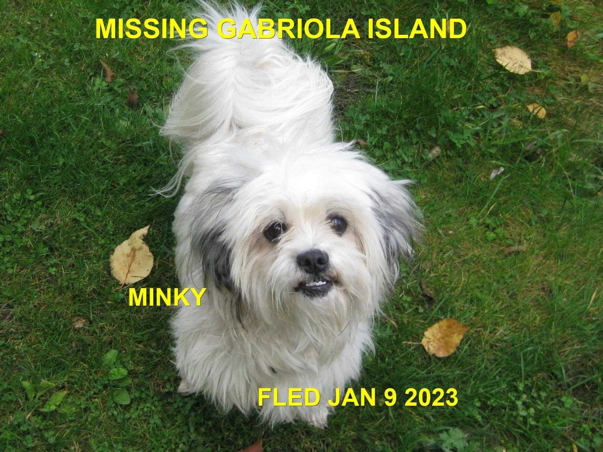 HAPPY ENDINGS - GABRIOLA ISLAND BC. / MINKY / JAN 8, 2023