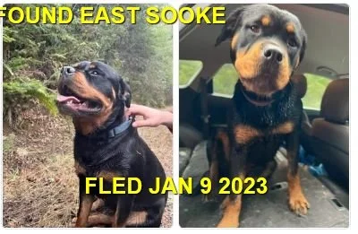 HAPPY ENDINGS - SOOKE BC. / JAN 9, 2023