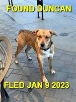 HAPPY ENDINGS - DUNCAN BC. / JAN 9, 2023