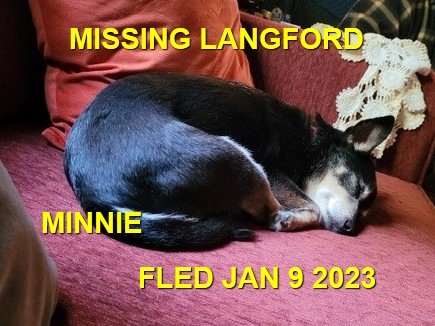 HAPPY ENDINGS - LANGFORD BC. / MINNIE / JAN 8, 2023