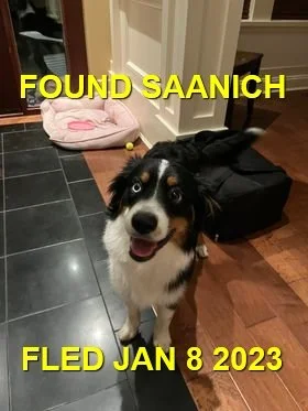 HAPPY ENDINGS - SAANICH BC. / JAN 8, 2023