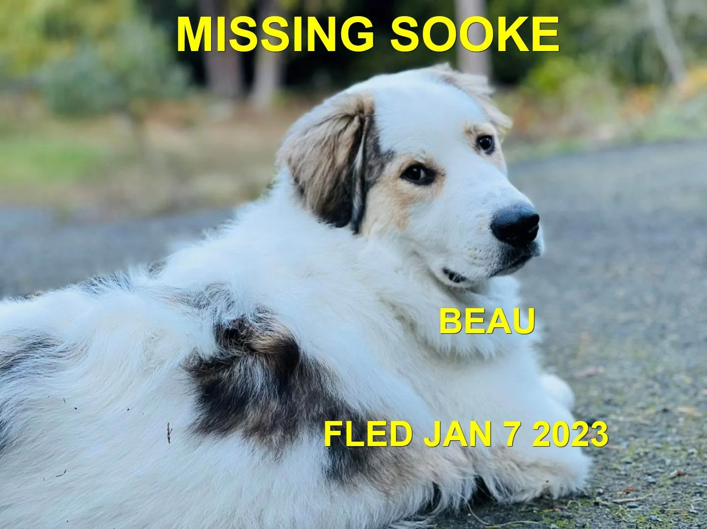 HAPPY ENDINGS - SOOKE BC. / BEAU / JAN 7, 2023