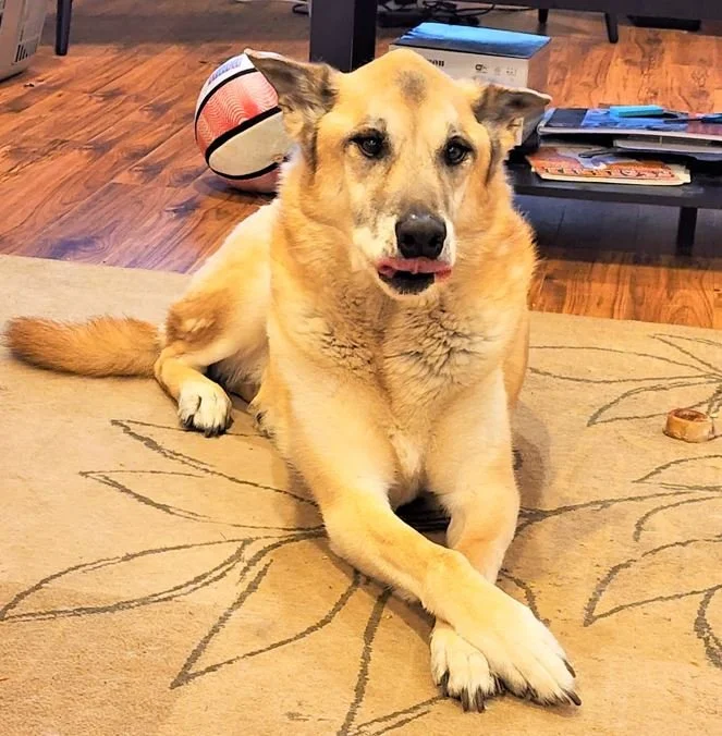 HAPPY ENDINGS - LANGFORD BC / SENIOR ASTRO / MAR. 2, 2023